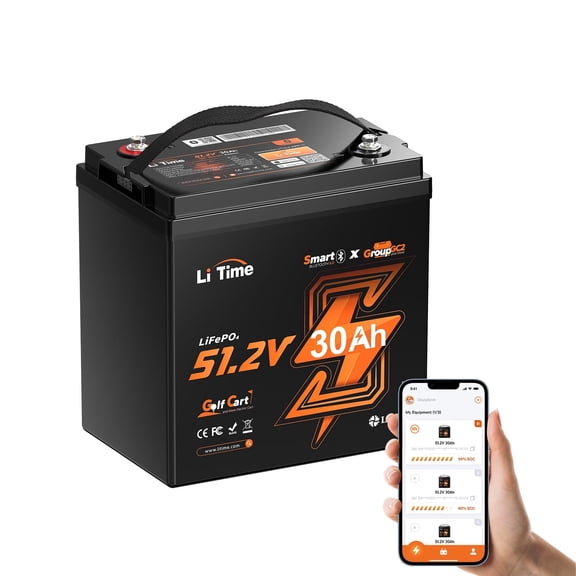 LiTime 48V 30Ah Golf Cart Lithium Battery Bluetooth 100A BMS 5.12kW Power GC2 LiFePO4 Battery