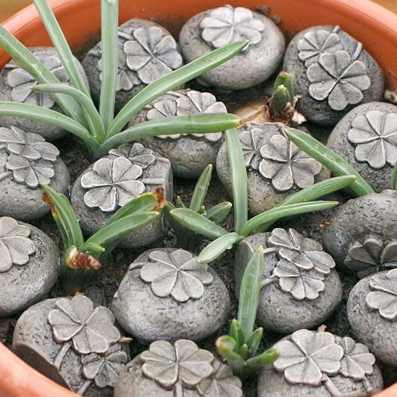 LiUMX Decorative Resin Stones, 20pcs Light Brown Paving Rocks for Succulents Plants Pots, Fish Tank & Indoor Landscaping, Easy-Clean Smooth Surface