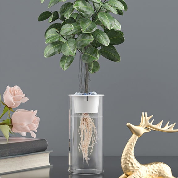 LiUMX Hydroponic Plant Basket & Vase Set | Transparent Plastic Planter for Water Plants | Indoor Herb Garden Kit | 9.84 Inch Glass Vase with Planting Holder for Flowers & Succulents