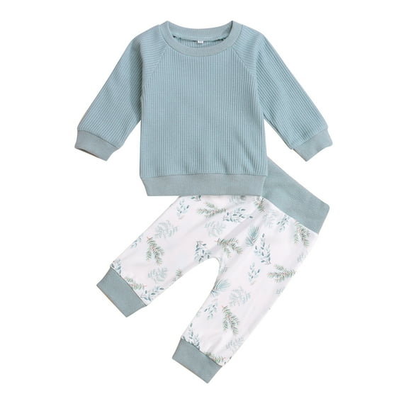 Liacowi Baby Girl Long Sleeve Top Shirt Floral Long Pants Set 2Pcs Clothes Outfits Set