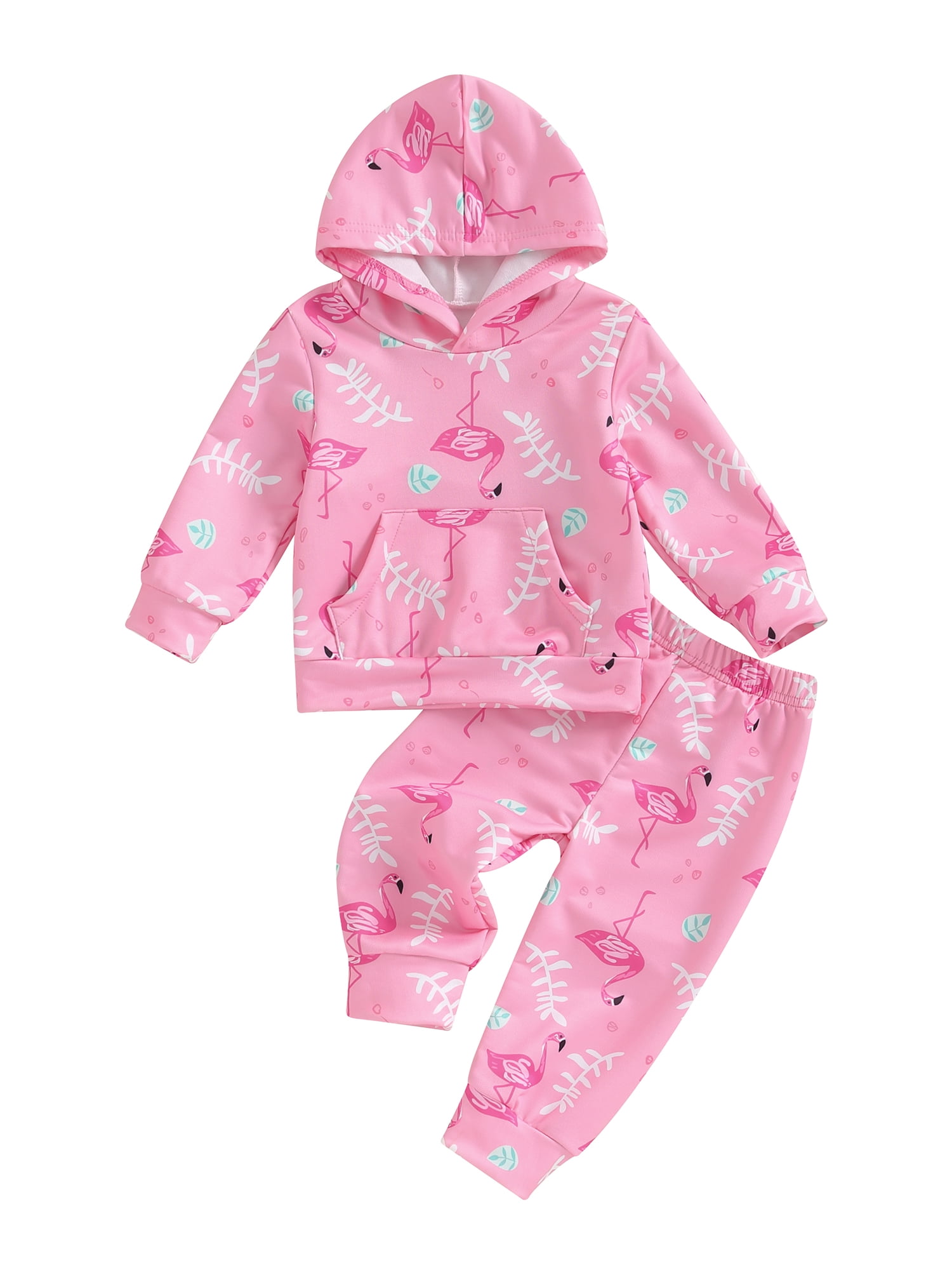 Liacowi Baby Girls 2 Piece Fall Outfit 6 9 12 18 24 Months Infant