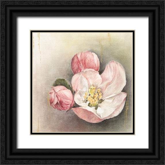 Liama, Lily 12x12 Black Ornate Wood Framed with Double Matting Museum Art Print Titled - Enlightenment Blossom I