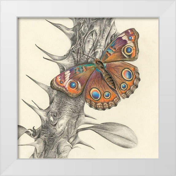 Liama, Lily 12x12 White Modern Wood Framed Museum Art Print Titled - Majestic Butterfly II