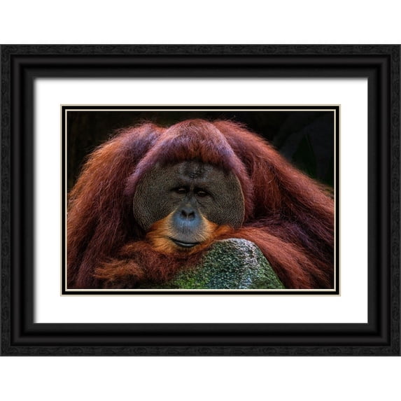Liang Wong, Twee 18x13 Black Ornate Wood Framed with Double Matting Museum Art Print Titled - Deep Thoughts
