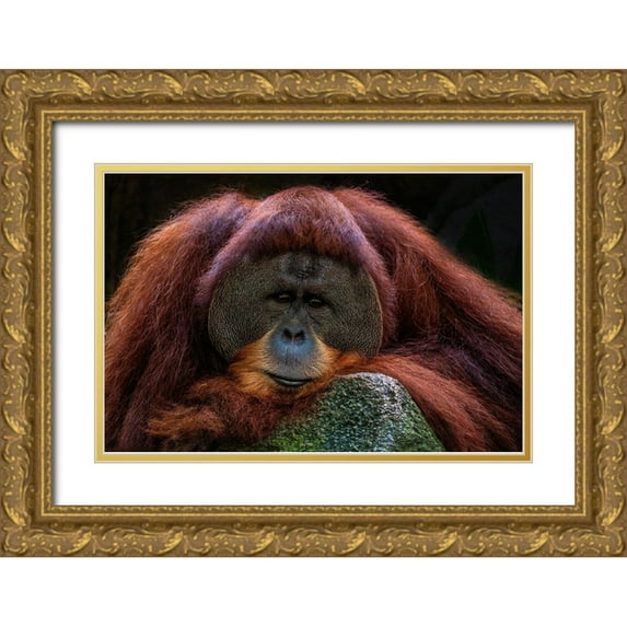 Liang Wong, Twee 18x13 Gold Ornate Wood Framed with Double Matting Museum Art Print Titled - Deep Thoughts
