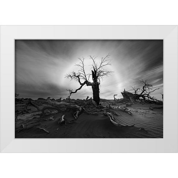 Liao, Yuhan 32x23 White Modern Wood Framed Museum Art Print Titled - Solar Halo