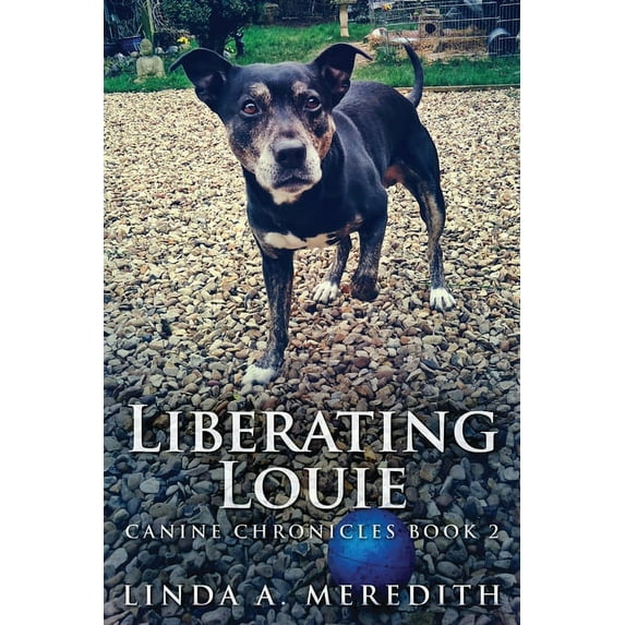 Liberating Louie: The Road To Rutland