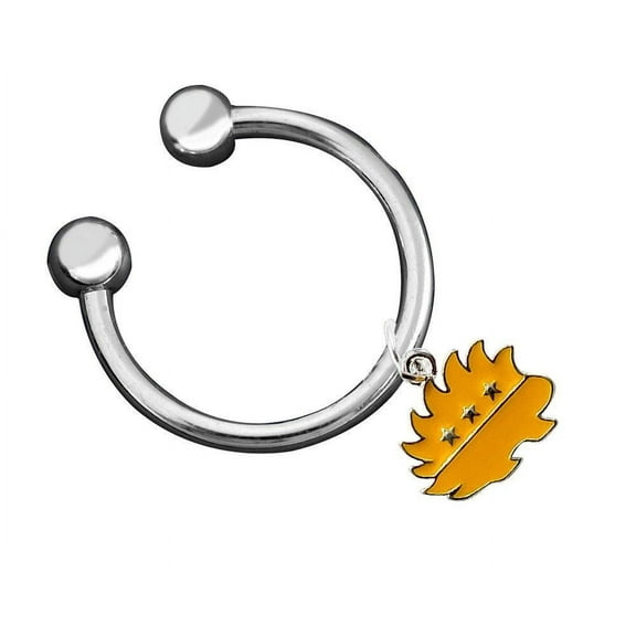 The Awareness Company Libertarian Gold Porcupine Keychain, 25 Pack