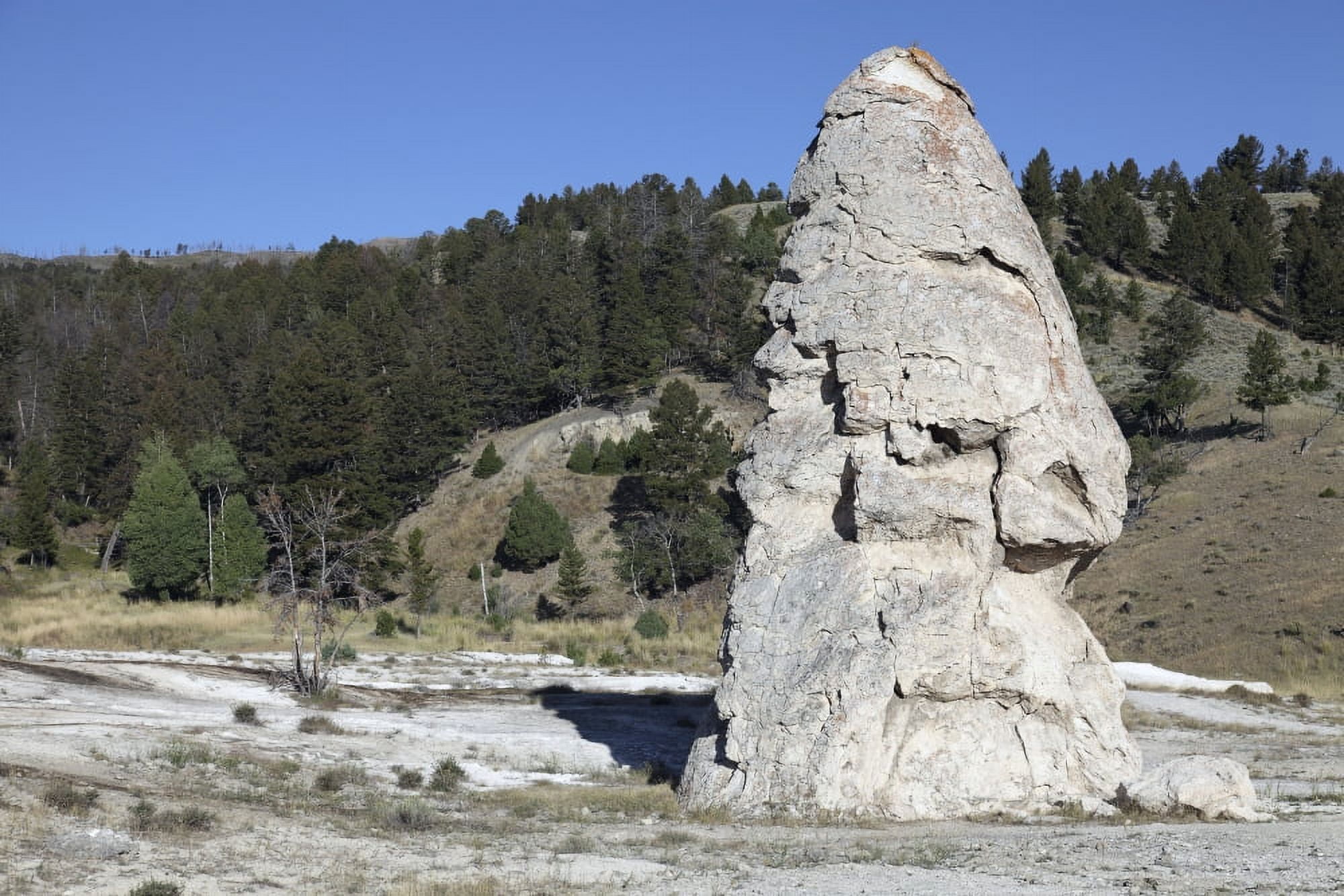 Liberty Cap exposed hot spring deposit Mammoth Hot Springs Yellowstone National Park Canvas Art - Richard RoscoeStocktrek Images (18 x 12)