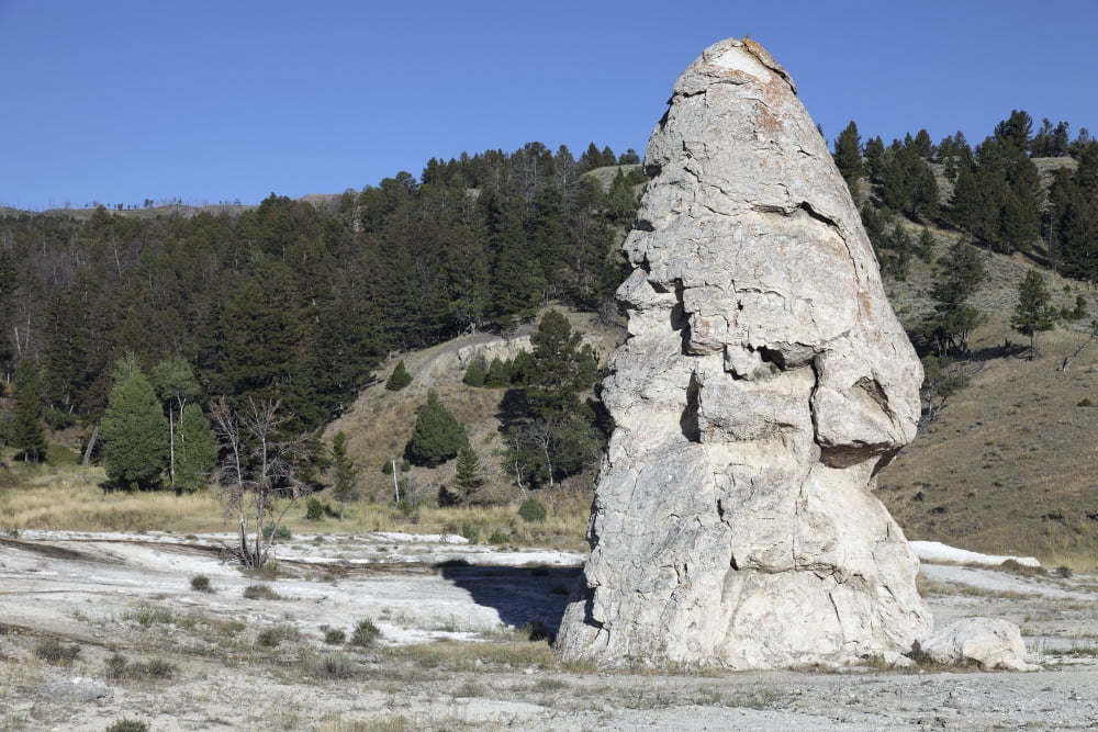 Liberty Cap exposed hot spring deposit Mammoth Hot Springs Yellowstone National Park Canvas Art - Richard RoscoeStocktrek Images (35 x 23)