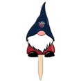 thumbnail image 1 of Liberty Flames Gnome Yard Stake, 1 of 1