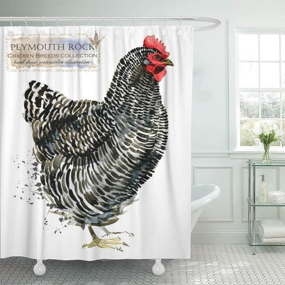 Libin Agricultural Plymouth Hen Poultry Farming Chicken Breeds Series Domestic Shower Curtain 66x72 inch