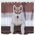thumbnail image 1 of Libin Animal Cute Pet Dog White Huskie Pup Farmhouse Polyester Fabric Bathroom Shower Curtain 66x72 inches, 1 of 3