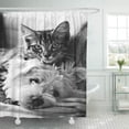 thumbnail image 1 of Libin Australia Photography Best of Dog Cute Puppy Black White Shower Curtain 60x72 inch, 1 of 3