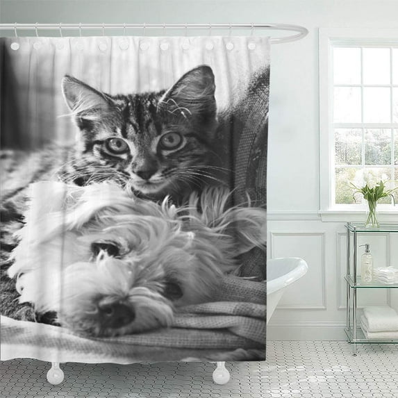 Libin Australia Photography Best of Dog Cute Puppy Black White Shower Curtain 60x72 inch