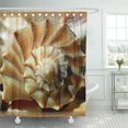 thumbnail image 1 of Libin Beach Lightning Whelk Seashell Shells Top Photography Shower Curtain 66x72 inch, 1 of 3