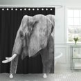 thumbnail image 1 of Libin Black Elephant White Wild Shower Curtain 60x72 inch, 1 of 3