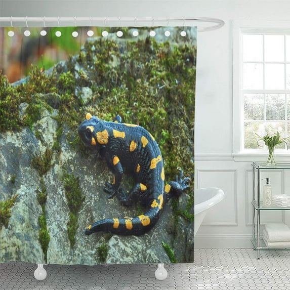 Libin Black Gorgeous Fire Salamander Salamandra Spotted Amphibian Grey Stone Shower Curtain 60x72 inch