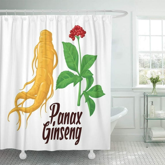 Libin Black Root and Leaves Panax Ginseng Colorful Flat Shower Curtain 60x72 inch