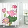 thumbnail image 1 of Libin Blossom Green Aquatic Beautiful Pink Lotus Flowers White Blooming Shower Curtain 60x72 inch, 1 of 3