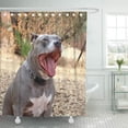 thumbnail image 1 of Libin Blue Nose Pitbull Morning Yawn Dog Tired Yawning Shower Curtain 66x72 inch, 1 of 3