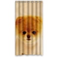 thumbnail image 1 of Libin Boo Dog Shower Curtain Polyester Fabric Bathroom Decorative Curtain Size 36x72 Inches, 1 of 3