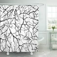 thumbnail image 1 of Libin Branch Black and White Branches Pattern Tree Winter Abstract Back Shower Curtain 66x72 inch, 1 of 3