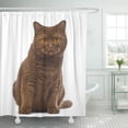 thumbnail image 1 of Libin Brown Cat British Shorthair 20 Months Old Sitting Shower Curtain 60x72 inch, 1 of 3