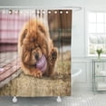 thumbnail image 1 of Libin Brown Puppy Red Dog Chow Green Adorable Box Shower Curtain 66x72 inch, 1 of 3