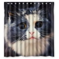 thumbnail image 1 of Libin Cat Awesomes Shower Curtain Polyester Fabric Bathroom Decorative Curtain Size 66x72 Inches, 1 of 3