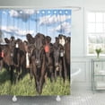 thumbnail image 1 of Libin Cattle Black Commercial Angus Crossbred Heifers in Lush Green Shower Curtain 60x72 inch, 1 of 3