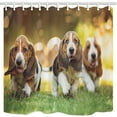 thumbnail image 1 of Libin Chirld Decor By Pet Dog Bassett Hound Running On Lawn Domestic Or Hotel Polyester Fabric Bathroom Shower Curtain 66x72 inches, 1 of 3