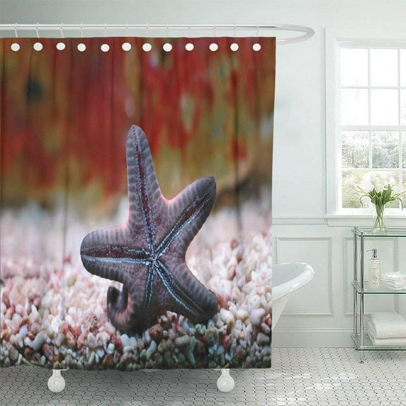 Libin Colorful Animal Starfish on the Wall of Aquarium Red Aquatic Beauty Biology Closeup Color Coral Shower Curtain 60x72 inch