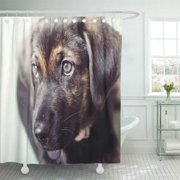 Libin Cute Custom Personalized Unique One Kind Shower Curtain 60x72 inch