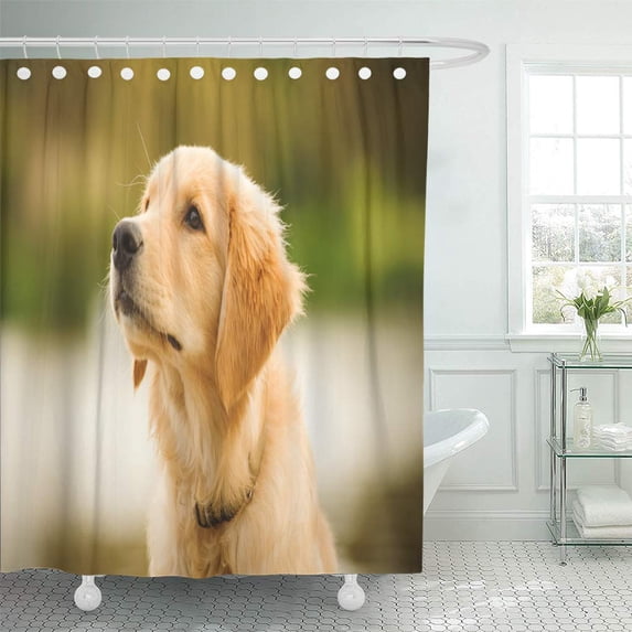 Libin Dog Golden Retriever Puppy Head Shot Young Domestic Shower Curtain 66x72 inch