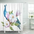 thumbnail image 1 of Libin Flower Watercolor Magnolia Peacock Bird Painting Watercolour Tree Wallpaper Abstract Shower Curtain 66x72 inch, 1 of 3