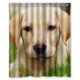 thumbnail image 1 of Libin Golden Labrador Retriever puppy dog Shower Curtain Polyester Fabric Bathroom Decorative Curtain Size 60x72 Inches, 1 of 3