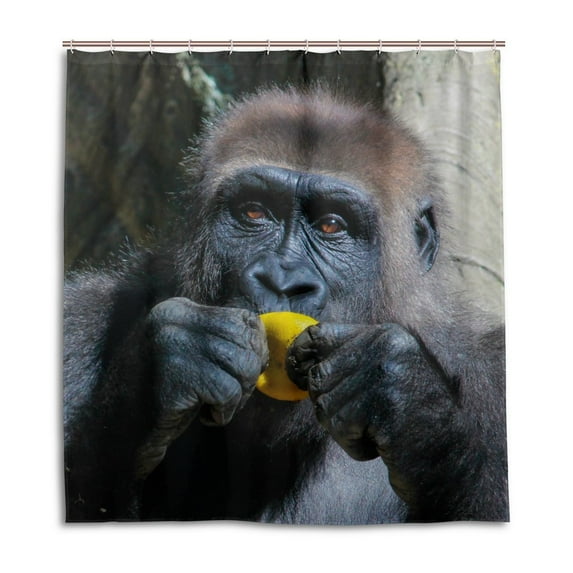 Libin Gorilla In The Eating Shower Curtain Waterproof Bathroom Shower Curtain 60x72 inches