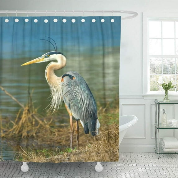 Libin Gray Birds Great Blue Heron Wildlife Nature Fowl Shower Curtain 60x72 inch
