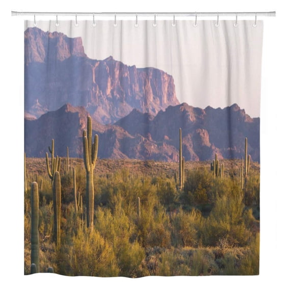 Libin Green Afternoon Arizona Desert Landscape Saguaro Cactus in Springtime Shower Curtain 66x72 inch