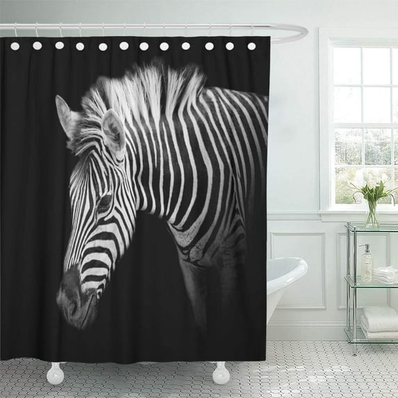 Libin Green Face Headshot of Burchell Zebra Afrika Shower Curtain 60x72 inch