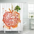 thumbnail image 1 of Libin Happy Thanksgiving Lettering Celebration Quotation on for Badge Pumpkin Shower Curtain 60x72 inch, 1 of 3