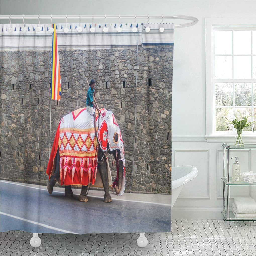 Libin Kandy Sri Lanka July 19 Decorated Elephant Shower Curtain 66x72 inch - Walmart.com