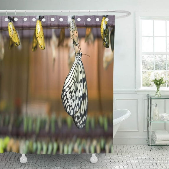 Libin Metamorphosis Tree Nymph Butterfly Having Just Emerged from Its Shower Curtain 60x72 inch