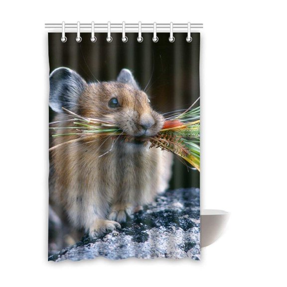 Libin Mouse Waterproof Polyester Bathroom Shower Curtain 48x72 Inches