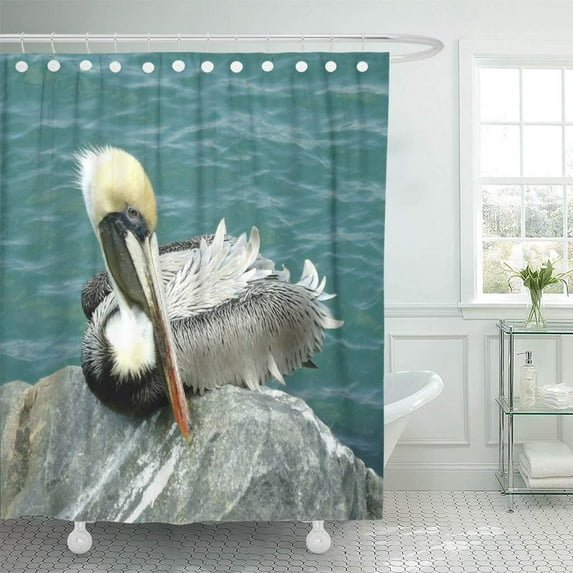 Libin Ocean Sitting Pelican Sea Bird Florida Nautical Feathers Jetty Shower Curtain 66x72 inch