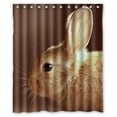 thumbnail image 1 of Libin Orange Rabbit Shower Curtain Polyester Fabric Bathroom Decorative Curtain Size 60x72 Inches, 1 of 3
