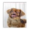 thumbnail image 1 of Libin Pekingese Shower Curtain Waterproof Bathroom Shower Curtain 36x72 inches, 1 of 3