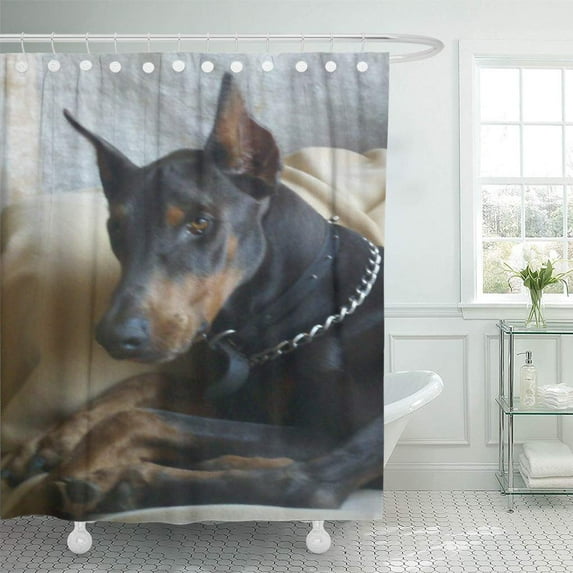 Libin Pet Doberman Pinscher Dog Portrait Working Wall Lover Shower Curtain 60x72 inch