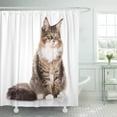 thumbnail image 1 of Libin Portrait of Maine Coon Cat 6 Months Old Sitting Shower Curtain 60x72 inch, 1 of 3